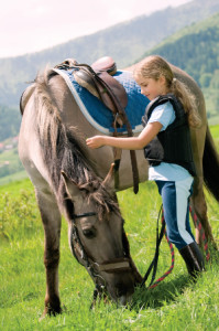 horse-jj15